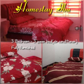 Homestay Ibu(Muslim sahaja)